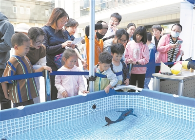 在互动体验中感受智能科技的魅力