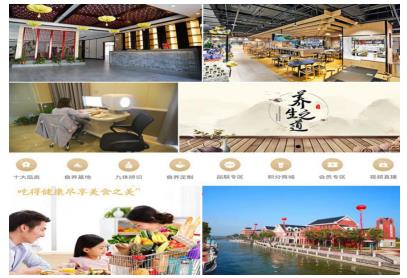 共创食养商机 金天国际名食养菜系体验馆期待与您共襄盛举(图1)